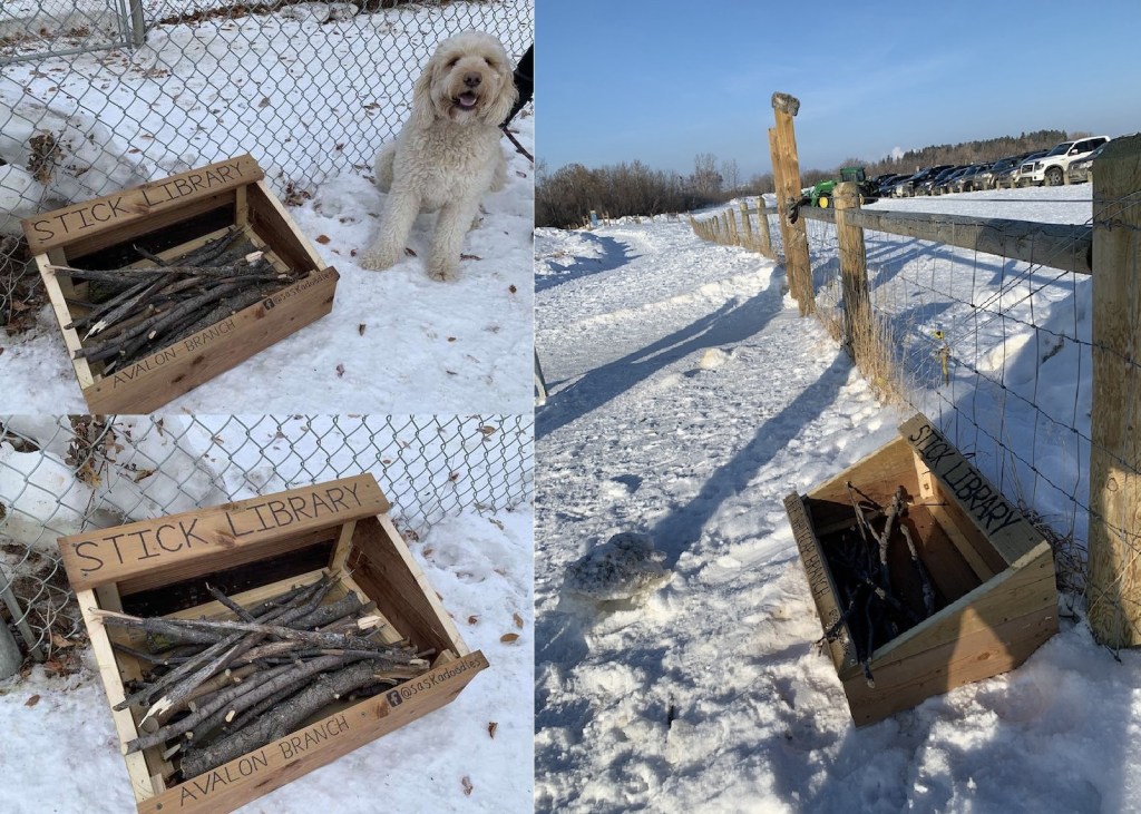 ‘STICK LIBRARY’ for&nbsp;Doggos